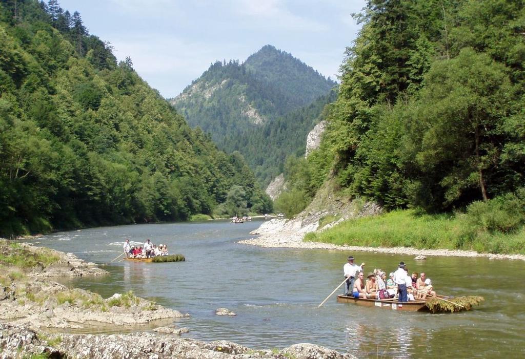 Pinewood Valley Oasis Vyšné Ružbachy Zewnętrze zdjęcie